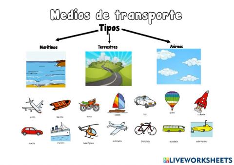 Medios de transporte.tipos
