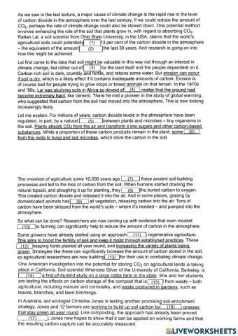 C11 t4 s4 soil to reduce CO2 + gaps