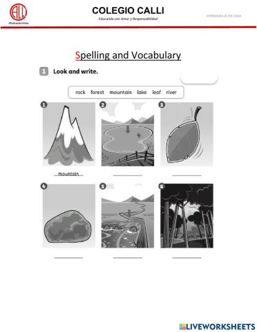 Spelling and Vocabulary 2º