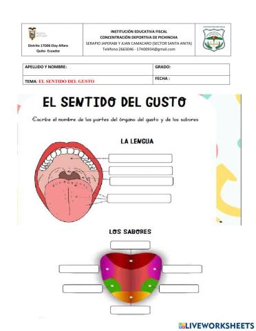 El sentido del gusto