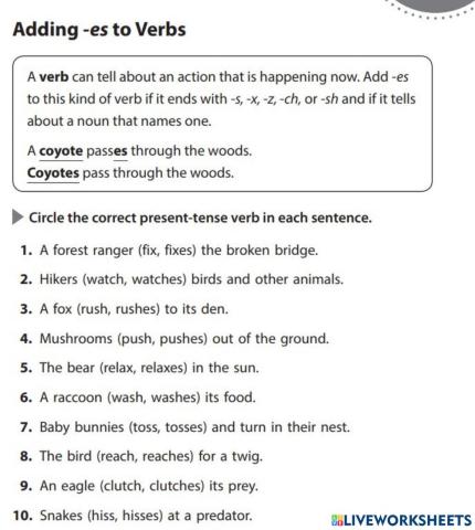 Adding -es to Verbs