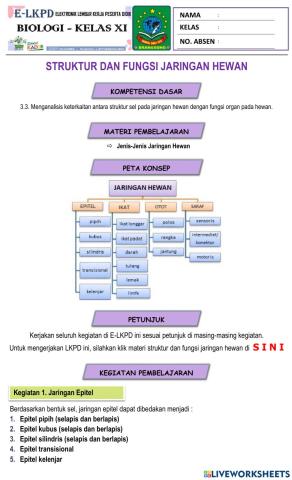 E-lkpd jaringan hewan