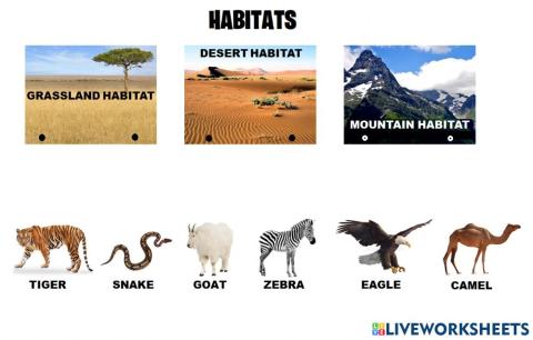Habitats