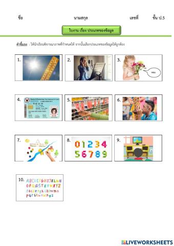 ประเภทของข้อมูล