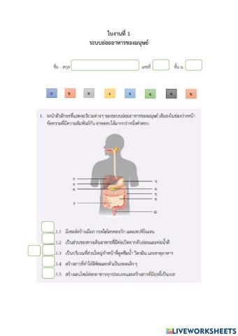 ใบงานที่ 1