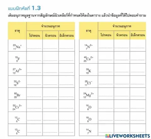 จำนวนอนุภาคมูลฐาน
