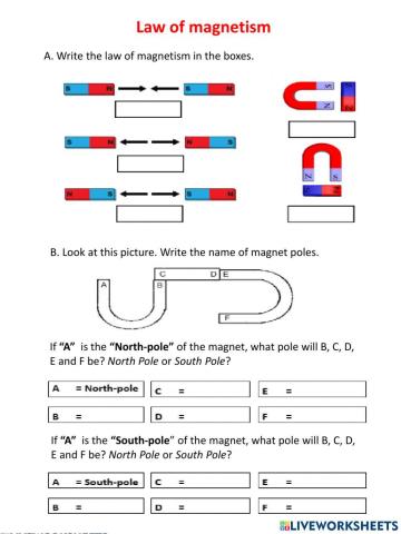 Magnets worksheet year 3 discount