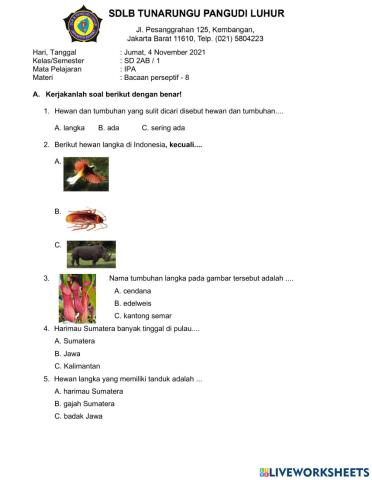 05112021 Latihan hewan dan tumbuhan langka perseptif 8