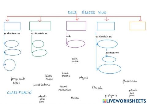 Mapa conceptual Classificació dels éssers vius