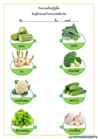 แบบฝึกหัดการงาน1