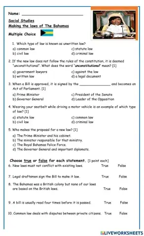 How Laws of The Bahamas are Made