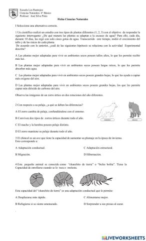 Ficha Necesidades Adaptativas de los seres vivos.