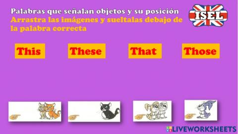 Palabras indicativas