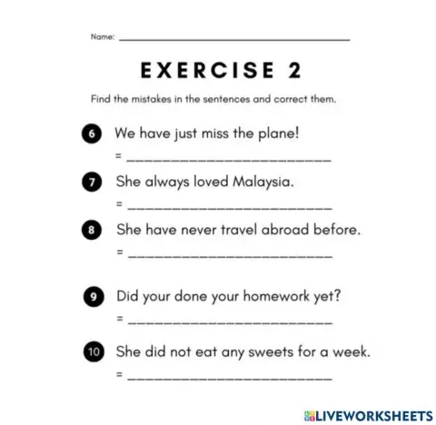 Present Perfect Tense 2