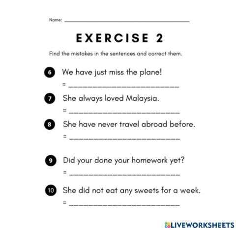 Present Perfect Tense 2