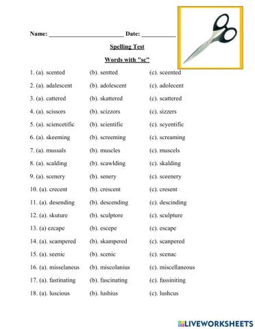 Words with sc Spelling Test