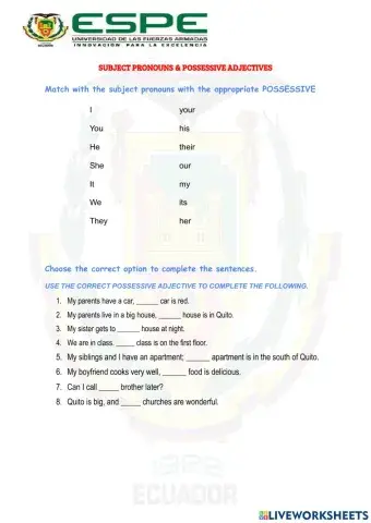Subject pronouns and possessives