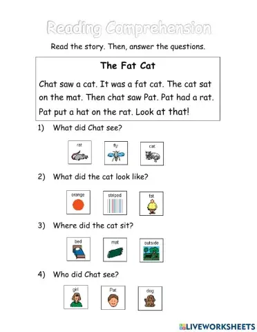 Reading Comprehension