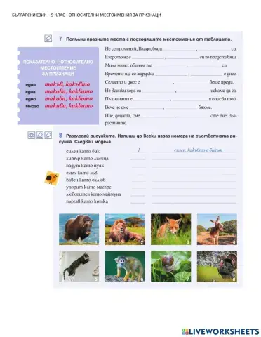 Български език – 5 клас - относителни местоимения за признаци