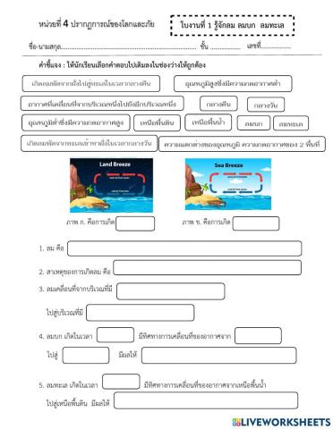 ใบงานลม ลมบก ลมทะเล