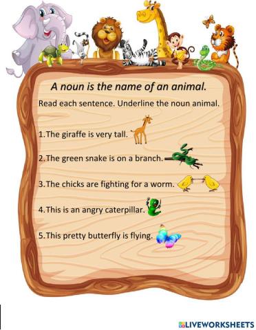 Noun Animals