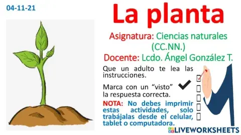 La planta