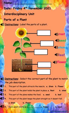 Parts of a Plant