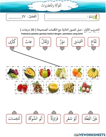 التدريب الأول (الفواكه)