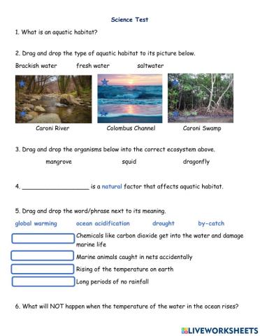 Aquatic life and food webs