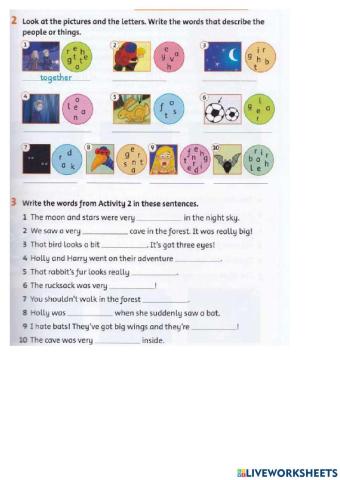 Past Continous and Camping