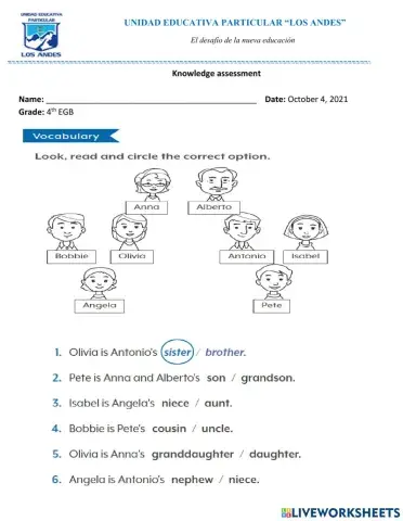 Knowledge assessment