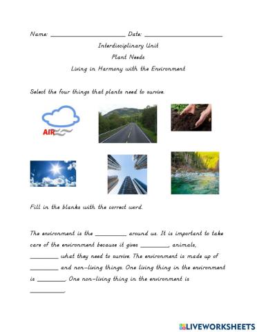 Plant Needs and Harmony with the Environment