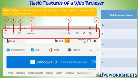 Basic Features of a Web Browser