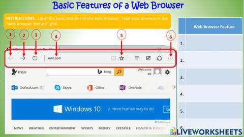 Basic Features of a Web Browser