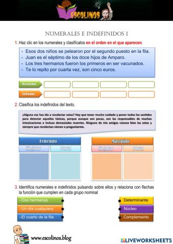 Numerales e indefinidos 1