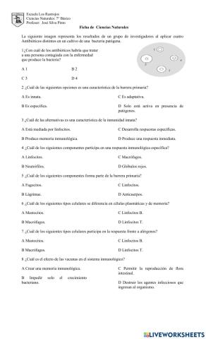 Efectos de las vacunas y sistema inmune.