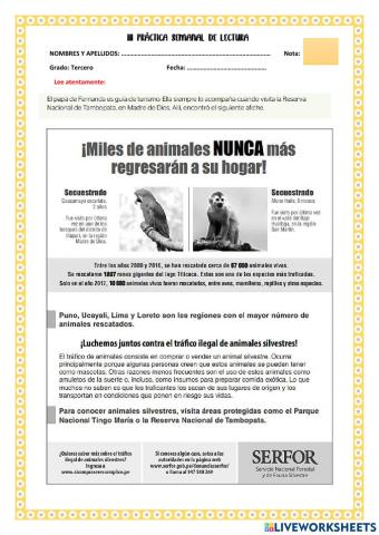 Iii practica de lectura