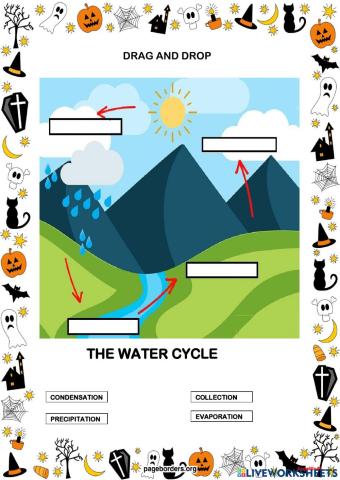 The water cycle