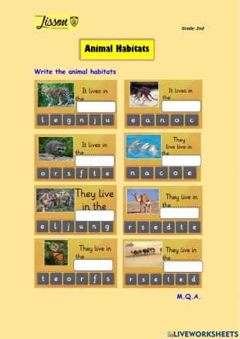 Animal habitats
