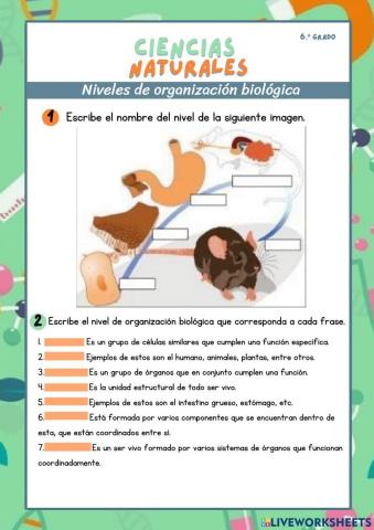 Niveles de organización biológica
