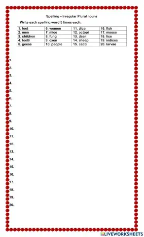 Irregular Plural Nouns