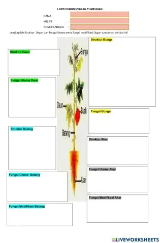 Lkpd organ tumbuhan