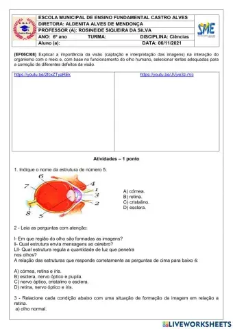 6º ano ciências 06.11.2021