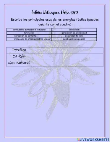 Energias renovables y no renovables