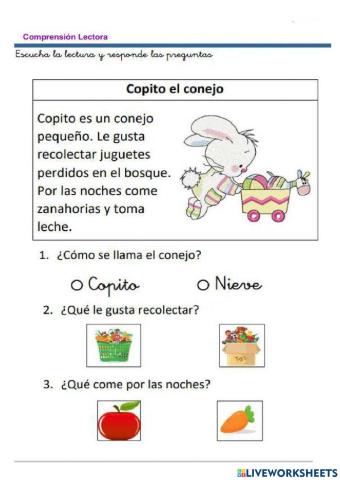 Lectura  comprensiva