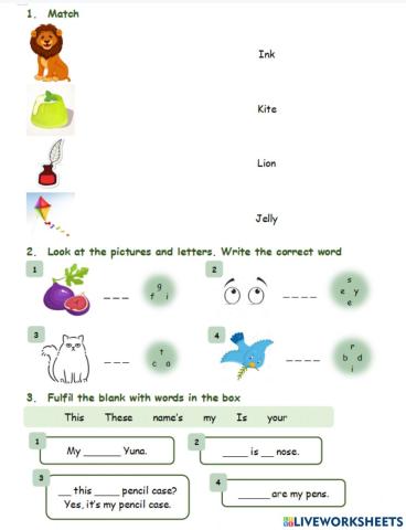 GRADE 3 - UNIT 3 - cont