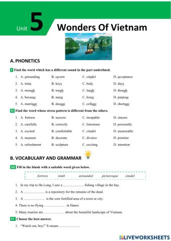 English 9 big4 unit 5 vocabulary and grammar