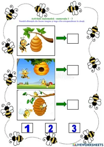 Activitate matematica - grupa mica