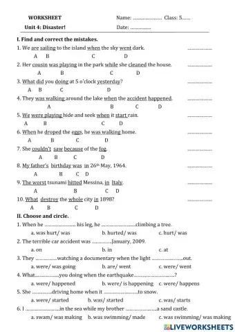 Past continuous tense