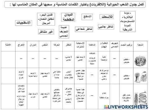 تقرير أحياء1-الشعب الحيوانية